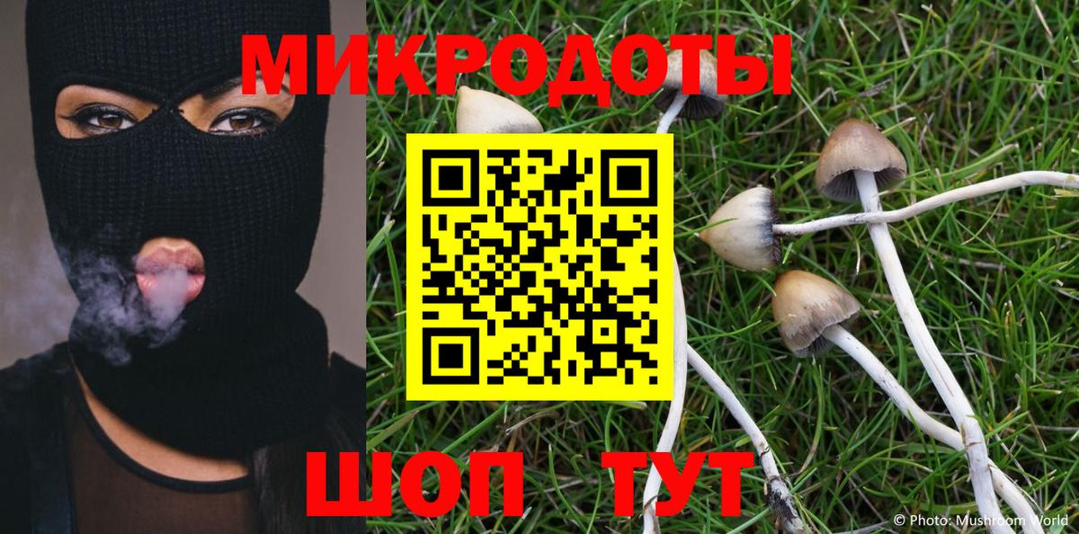 Псилоцибиновые грибы Magic Shrooms Благовещенск