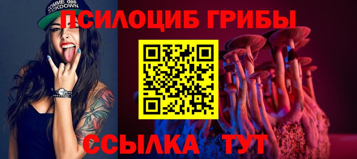Галлюциногенные грибы Psilocybine cubensis  Вход с VPN  Благовещенск 